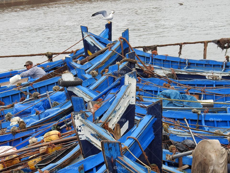Fishing boats Essaouira Morocco