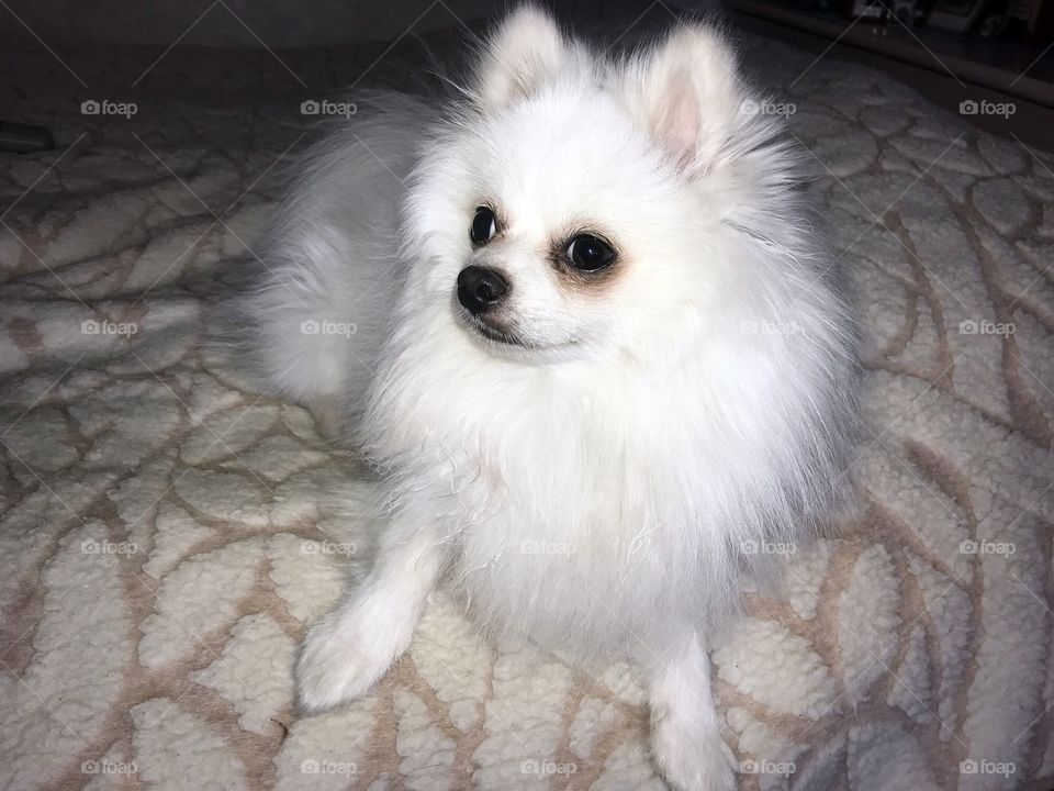 Тихий час💙