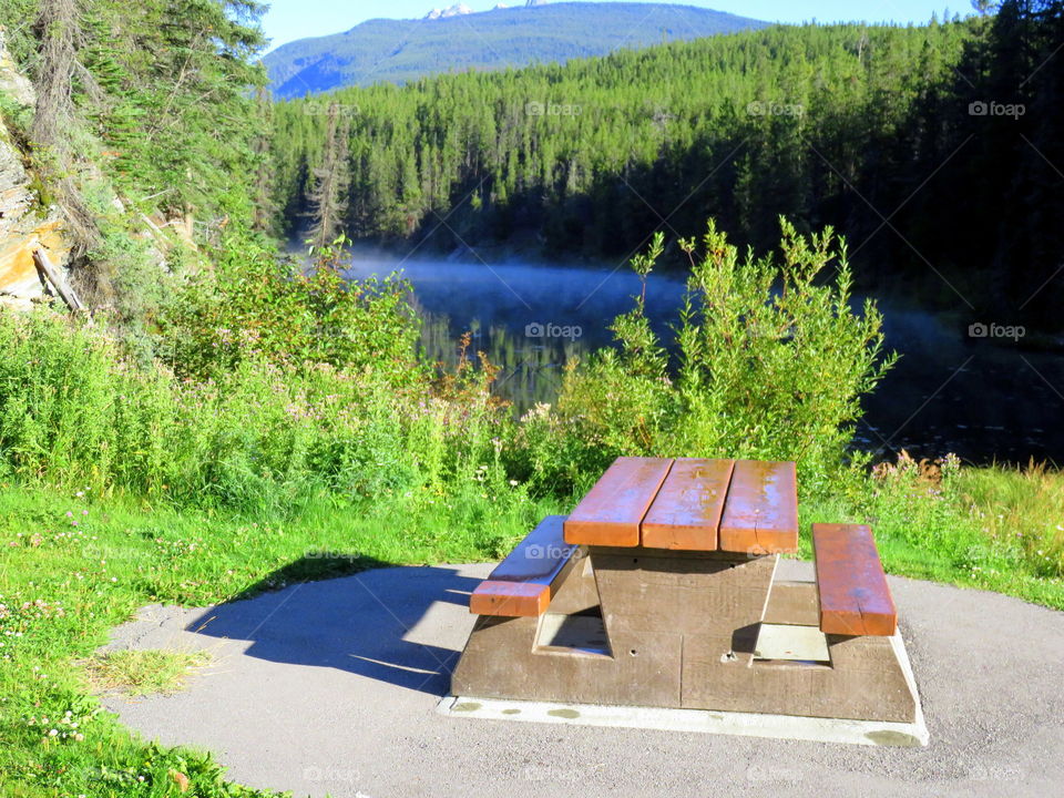 bench and table near To the water into the forest