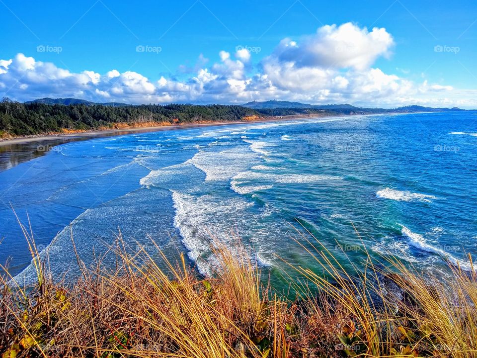 Oregon Spectacular Coast "I Feel Small In A Good Way"