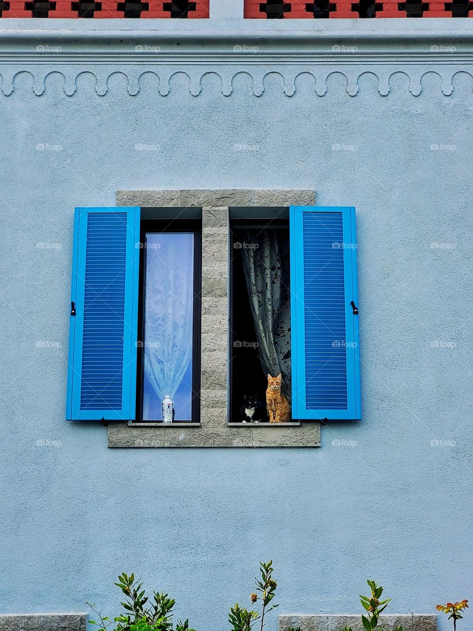 Ljubljana, Slovenia. Urban city view with modern,  old European architecture,  landmark. Geometric shapes. 2 cats in window