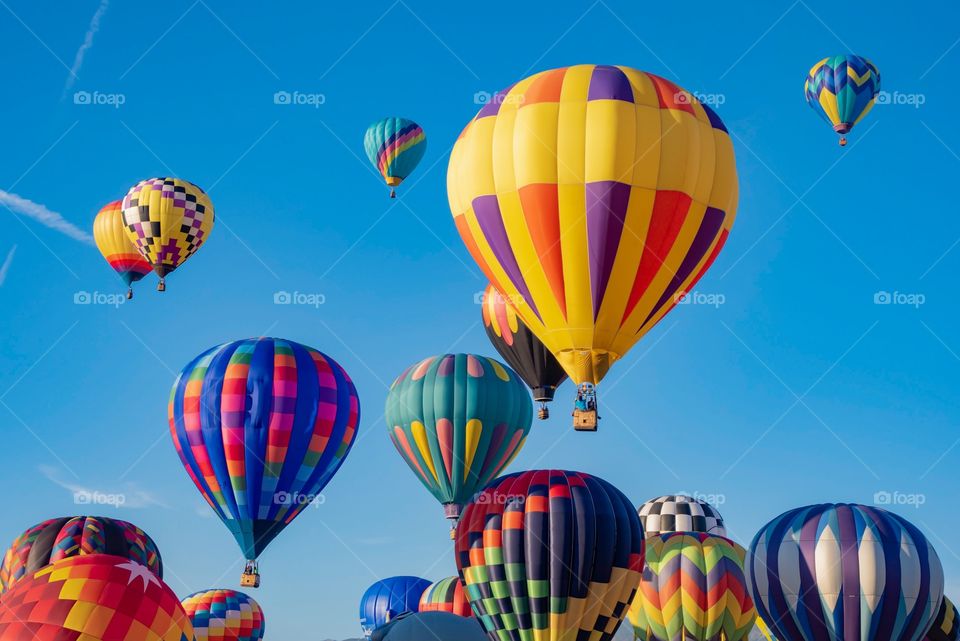 Hot air balloons taking flight