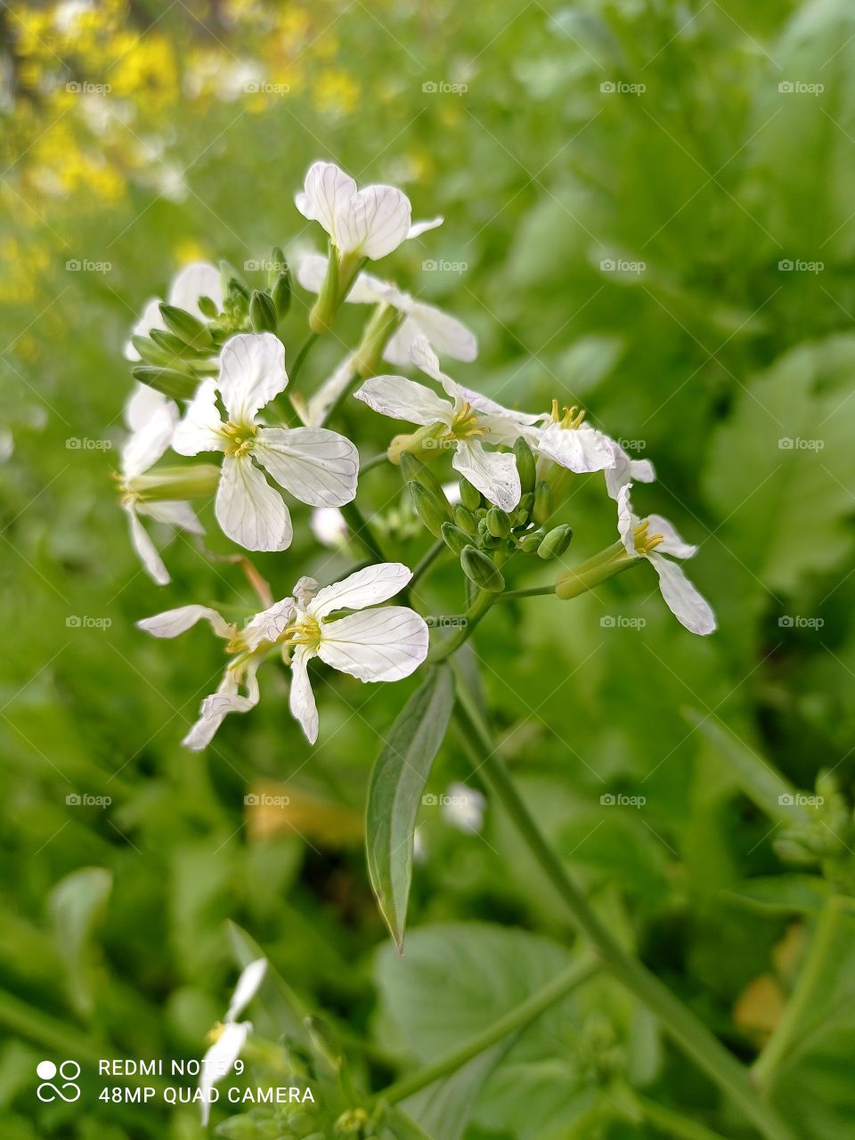 How much do you like this photo.