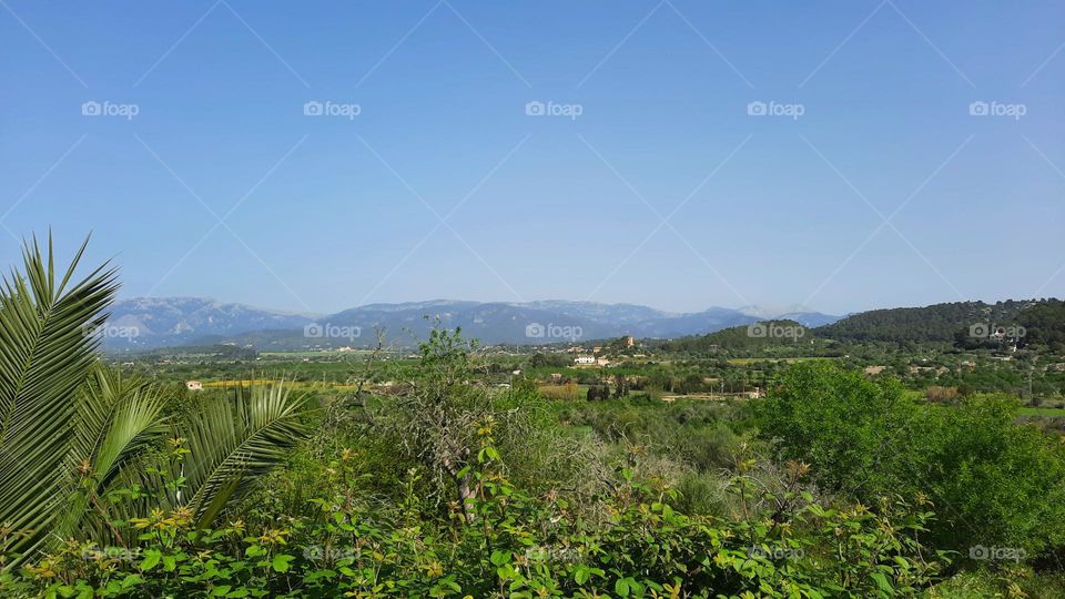 Panoramic view of Majorcan countryside landscape. Mountains in the background. Marratxí (Majorca) Spain