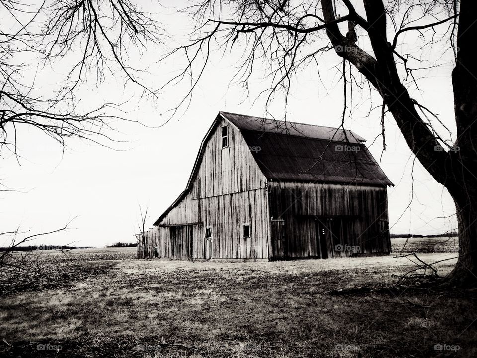 Beautiful country barn