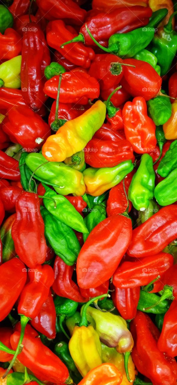 fruits and vegetables 6