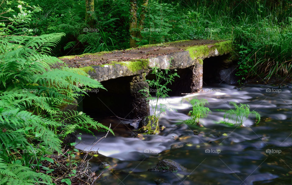 Stone bridge over stream