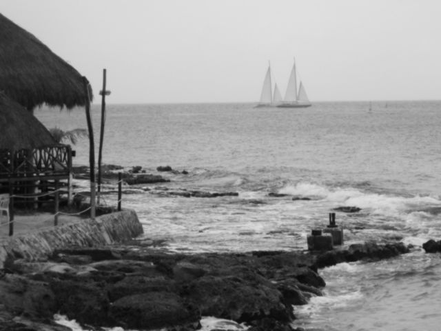 Sail Boats