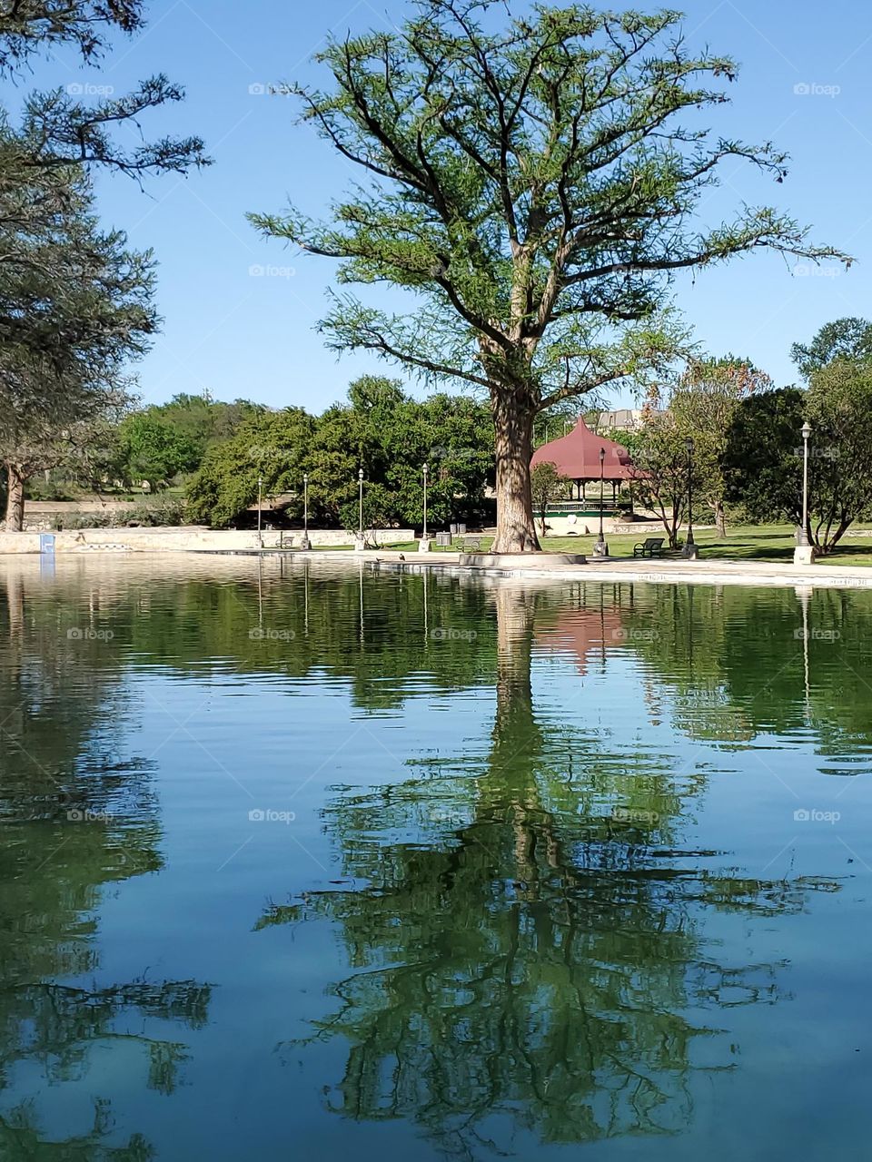 Tranquility by an all natural Spring fed pool at local city park with reflections in the water.