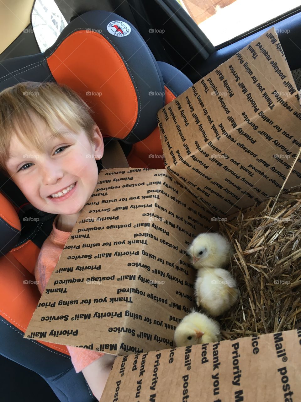 Boy and some chickens 