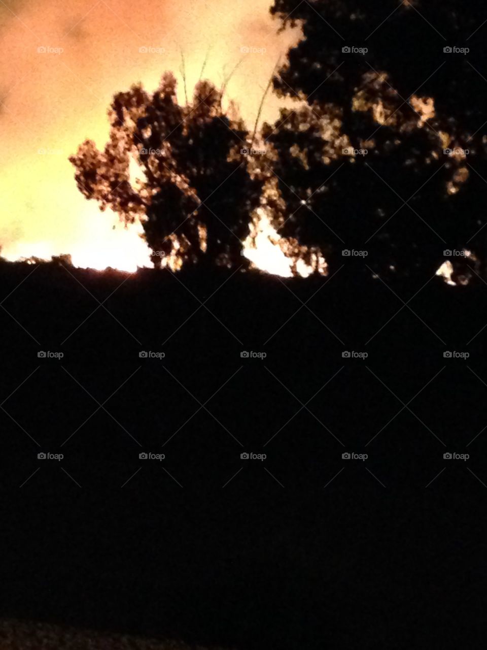 Nighttime shot trees back went by hay yard fire west of Phoenix Arizona in November 2014