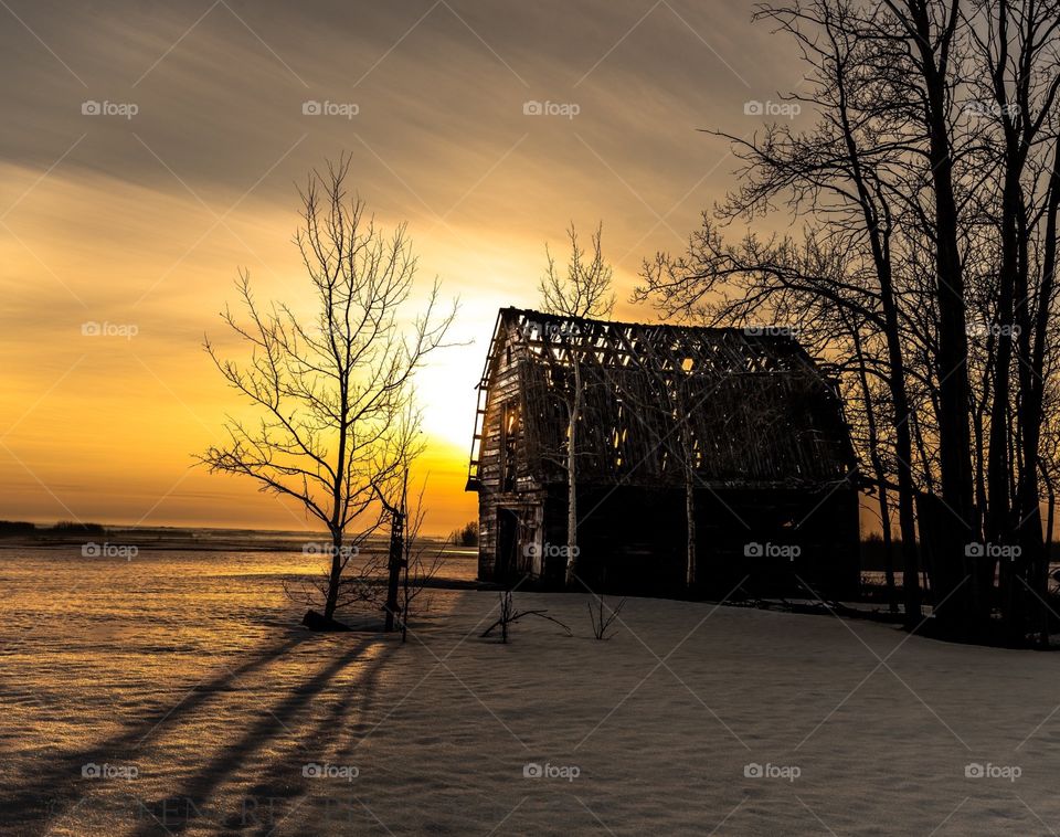 Sunrise through an old barn outside of Grande Prairie Alberta.