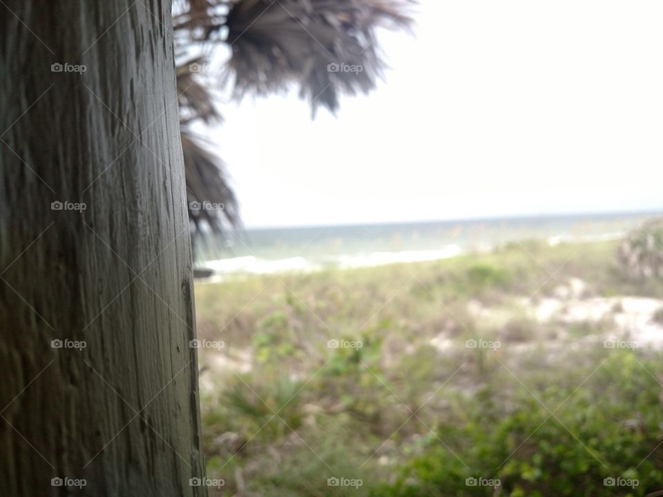 Beach behind wooden post.