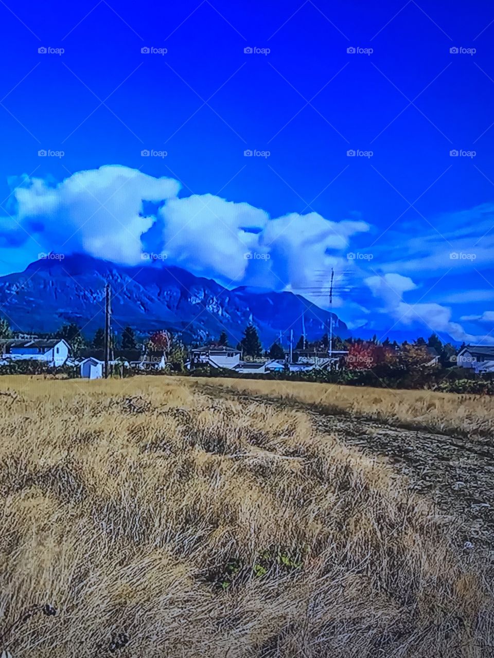 Washington Mountains 
