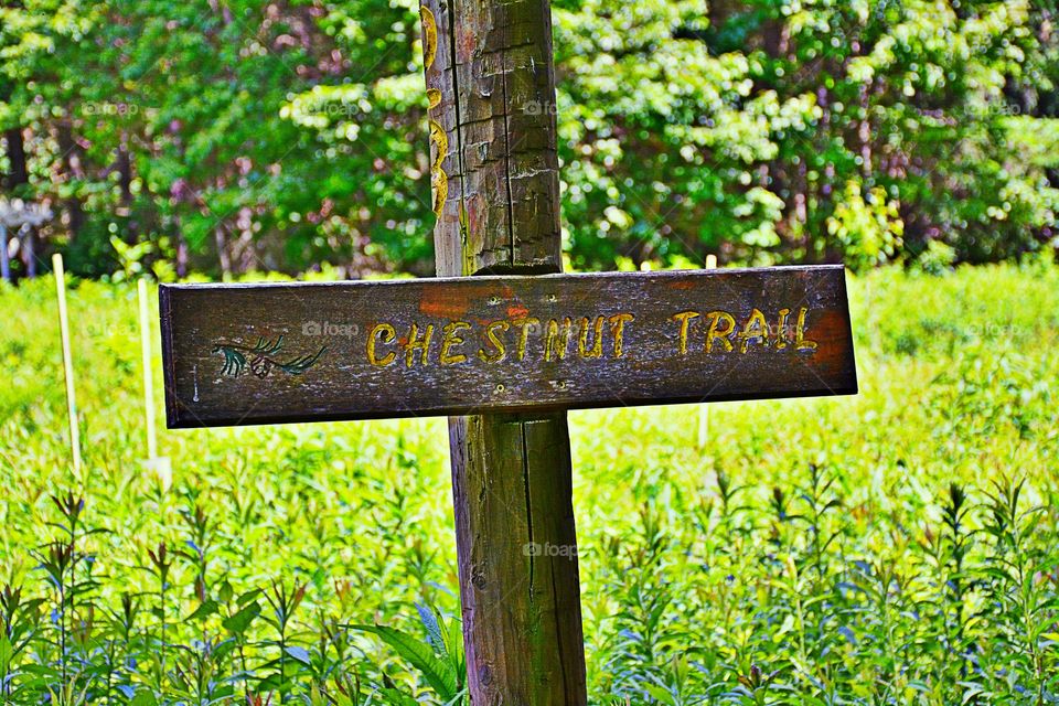 Trail sign 