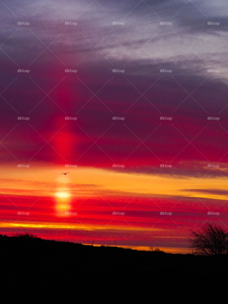 Sunrise on a cold morning