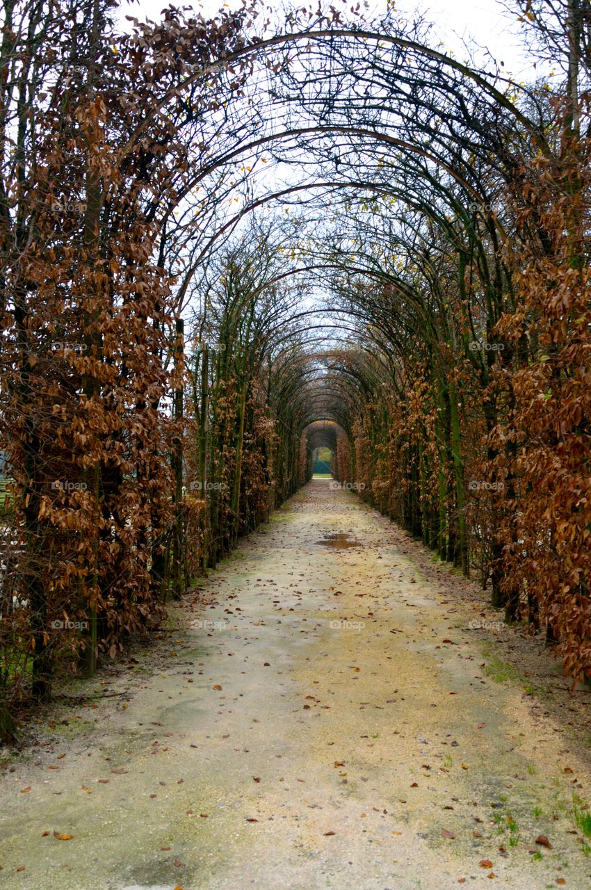 Footpath covered with arch fence in garden