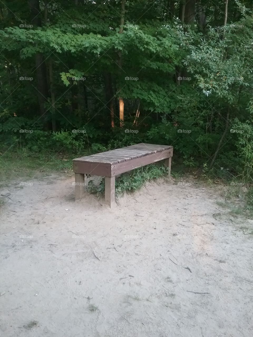 Lonely bench 2