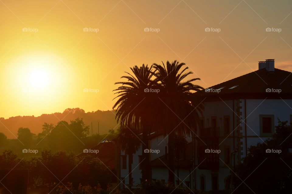 the sunset, two palm trees and one big house