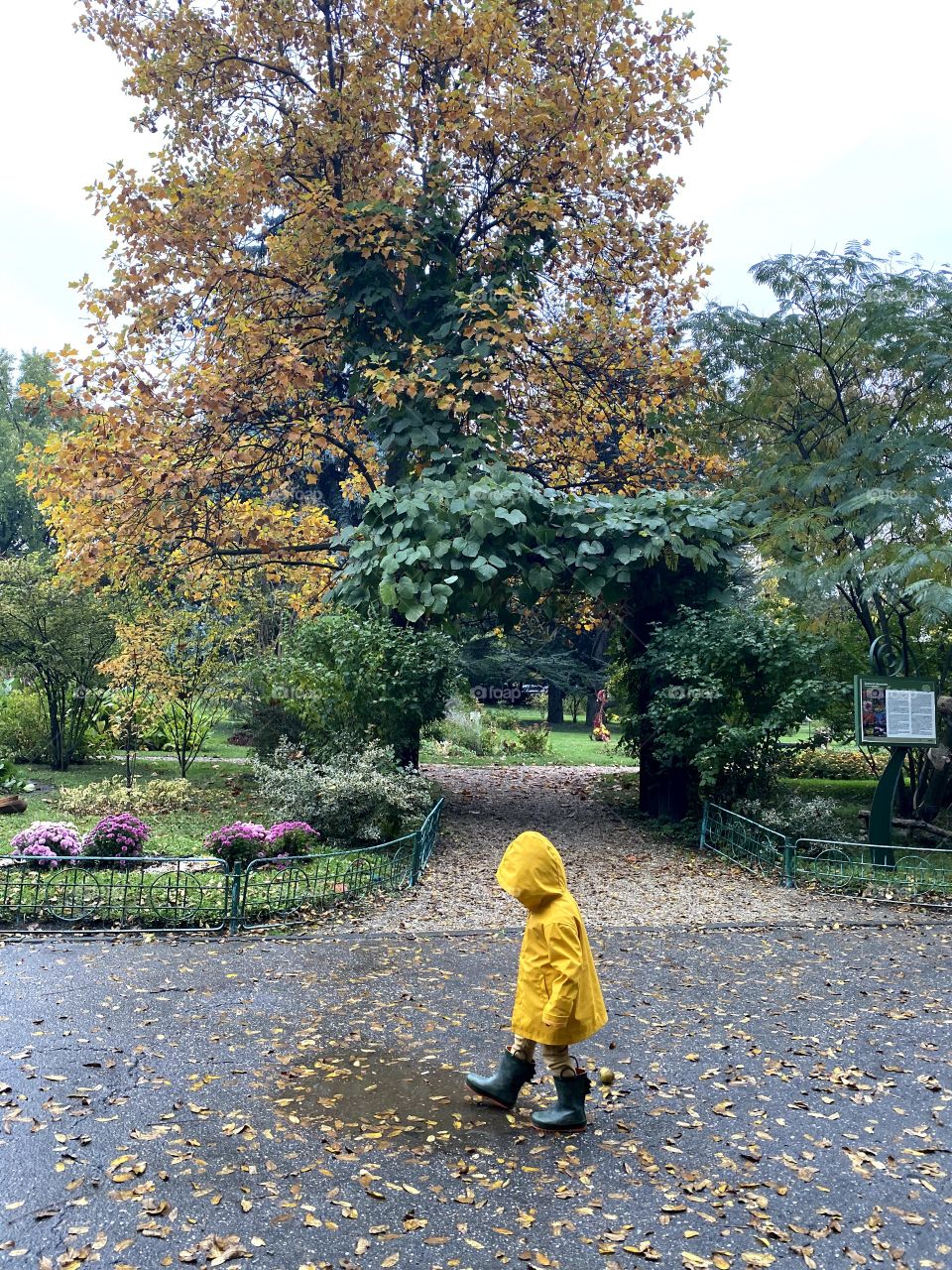 A little man in the rain
