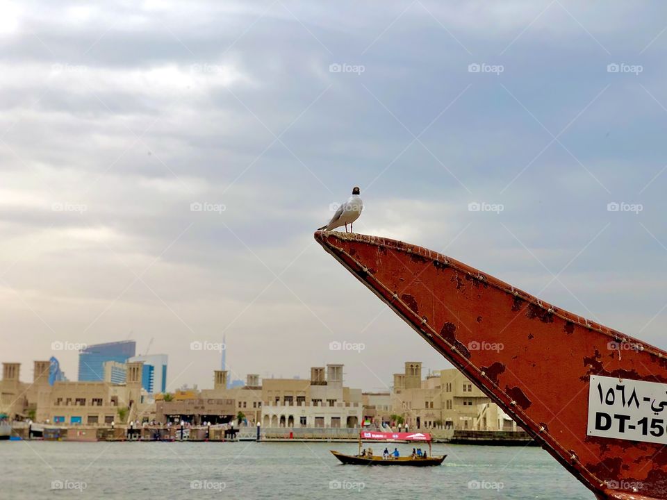 A bird sitting on a boat