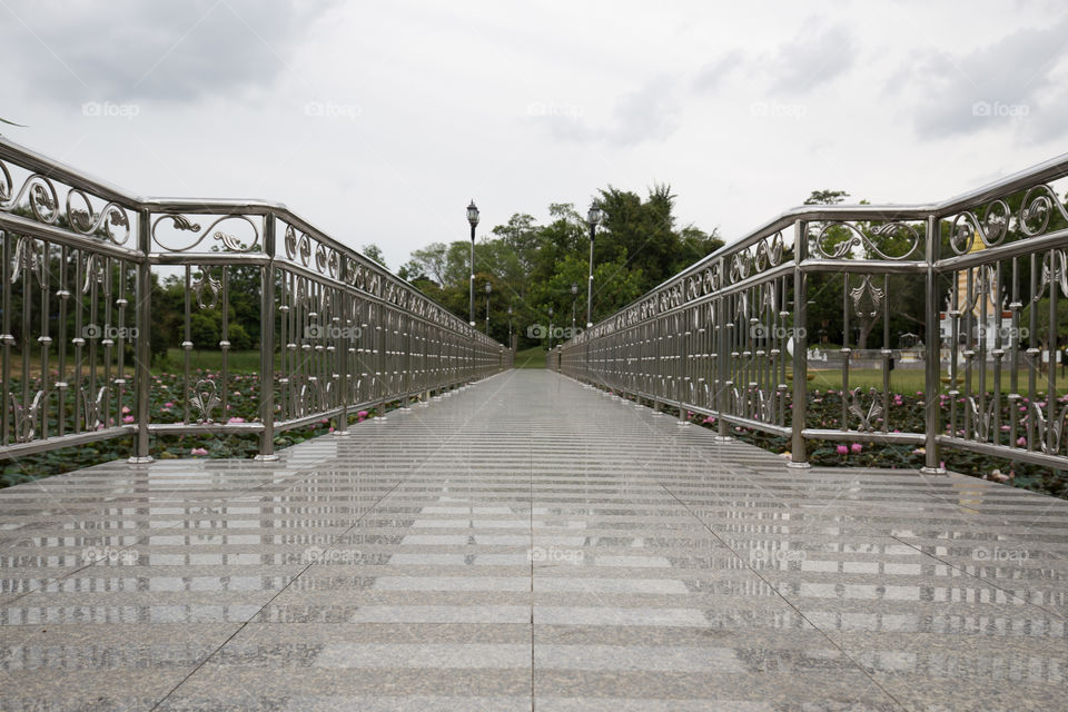 Bridge in the pond 