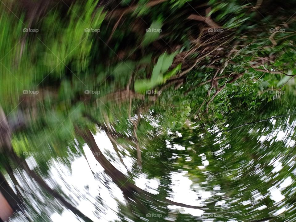 nice view of the nature with blur effects