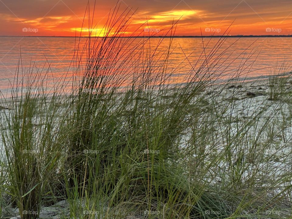 Tall grasses, sugar-white sand, warm Gulf waters accompany a flamboyant orange sunset