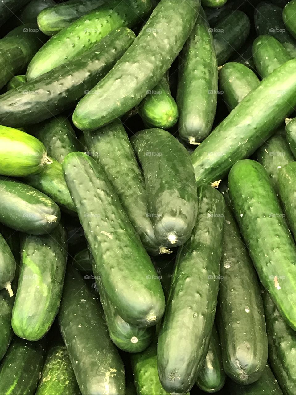 Cucumbers on sale at the supermarket. It is three for one dollar and one can get multiple sets of three each for such deal. Who would want to pass up a good deal on these healthy vegetables?