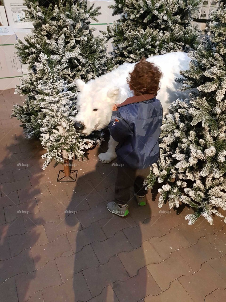 polar bear boy christmas holiday