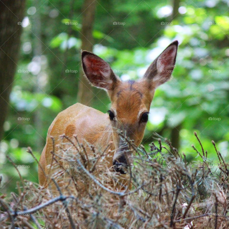 Sneaking up 