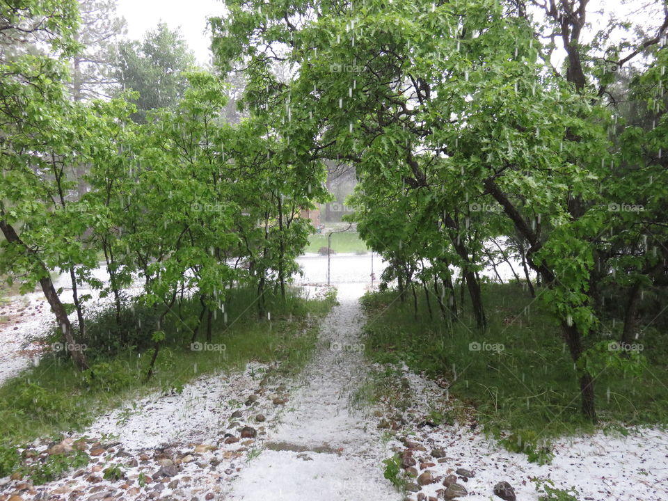 Hail storm 