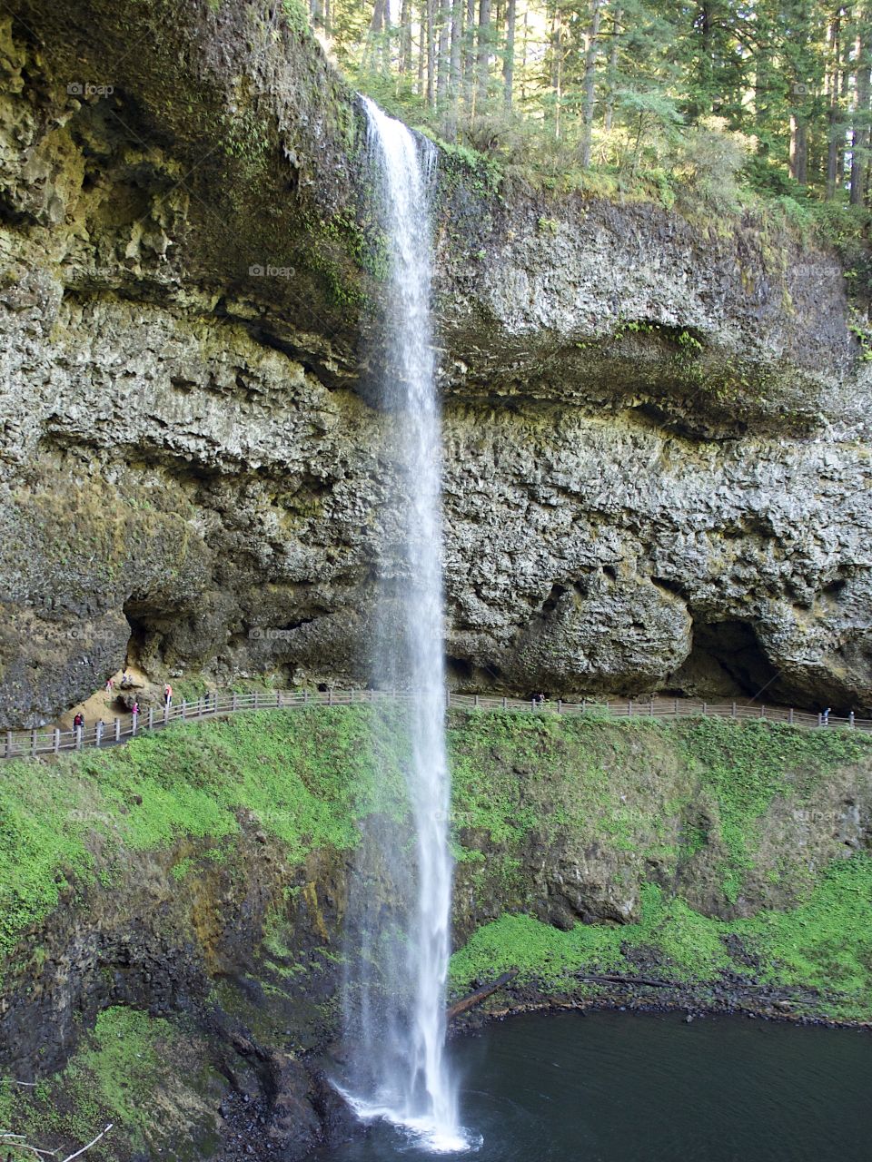 South Falls in Silver Falls State Park in Western Oregon goes over its textured cliff on a fall day. 