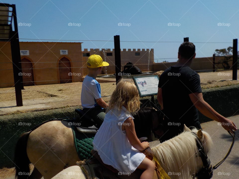 What elephants are up to 🙈