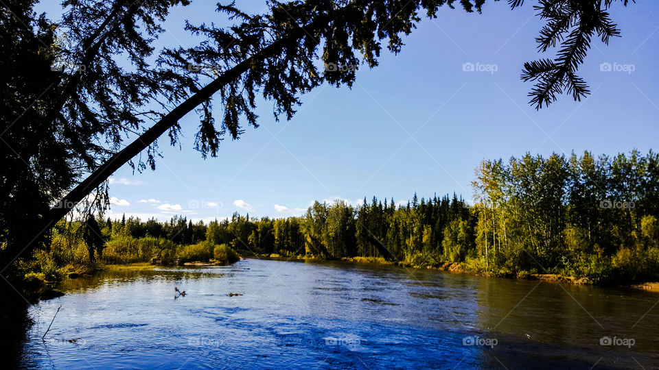 Cheena River Fairbanks Alaska peaceful slow Summer