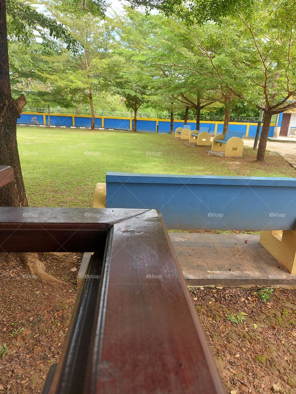 the garden is a relaxing, cool and beautiful place