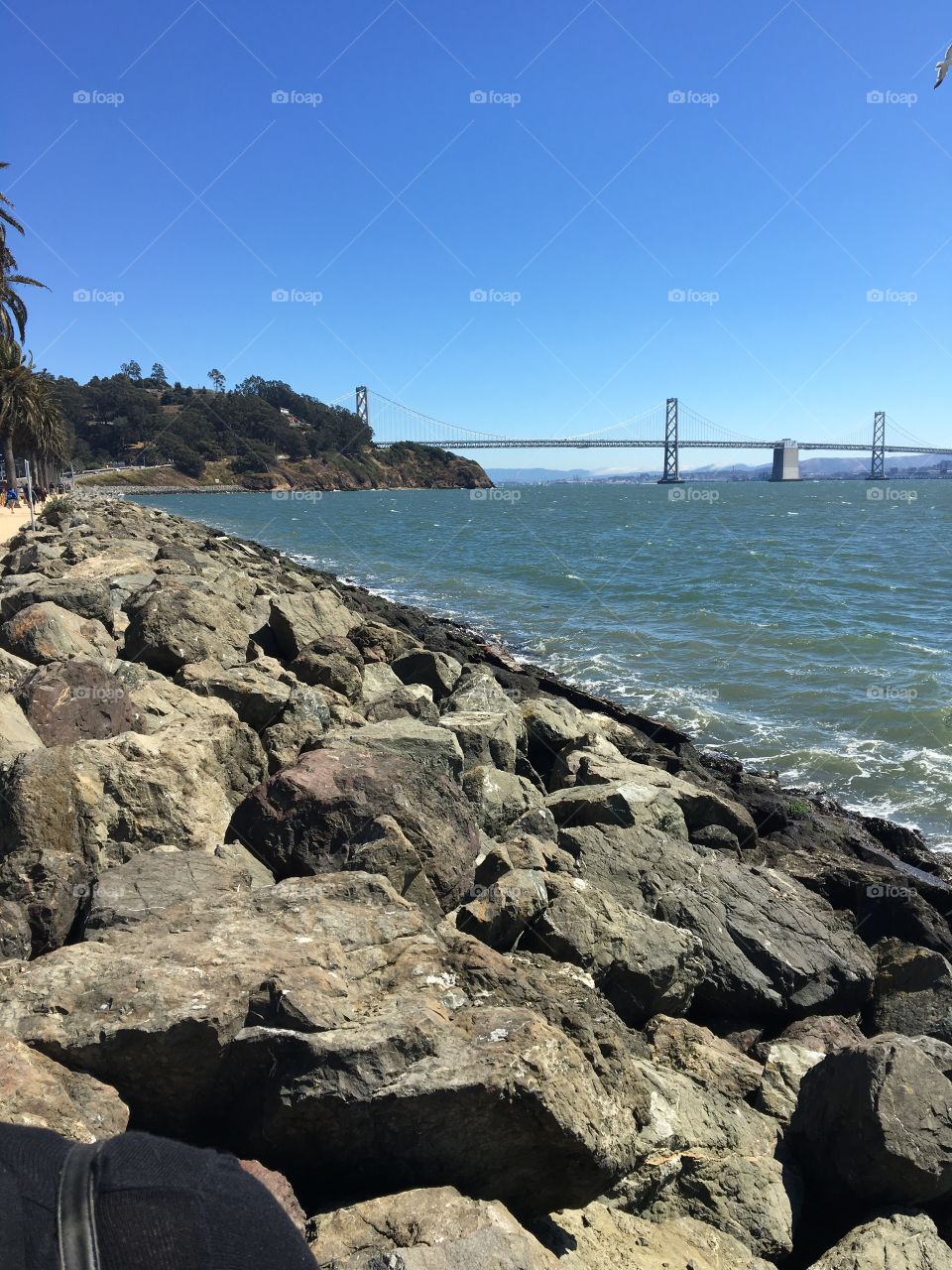 View from treasure island of bay bridge 