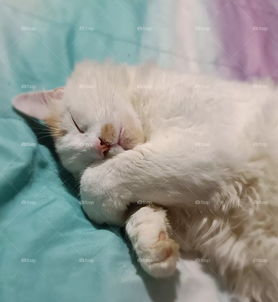 Gabriel Sleeping
