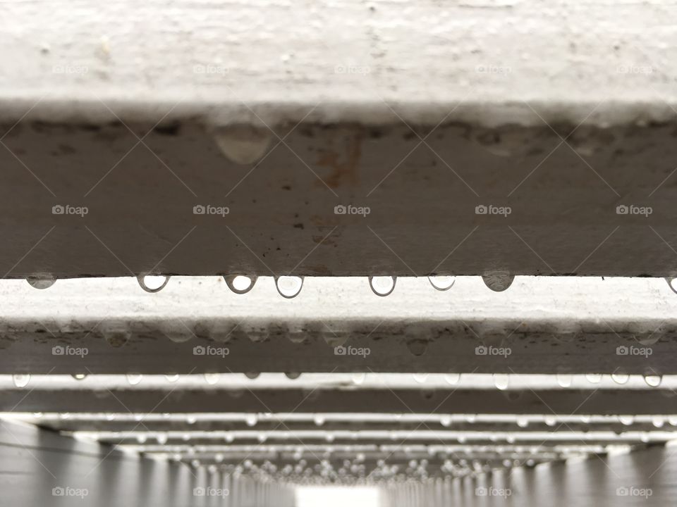 Raindrops falling from the ceiling of the shade in the backyard is a happy grey story after 6 months of no rain in the hot, dry California. 