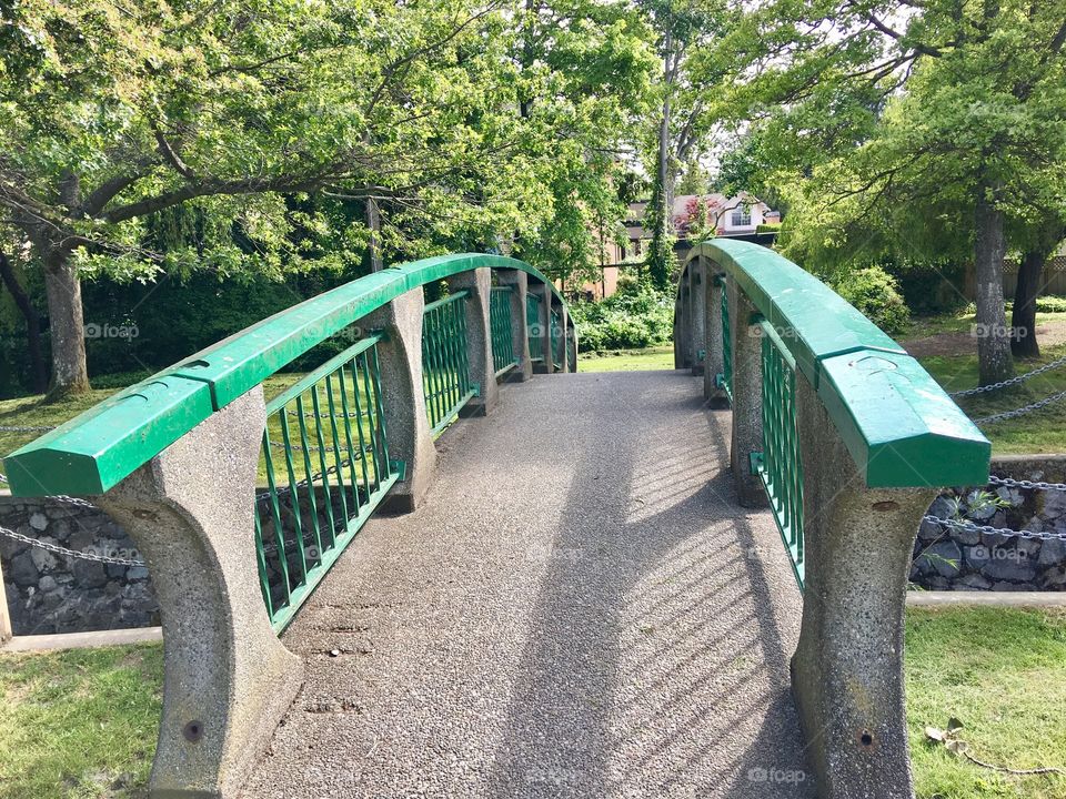 Green bridge 