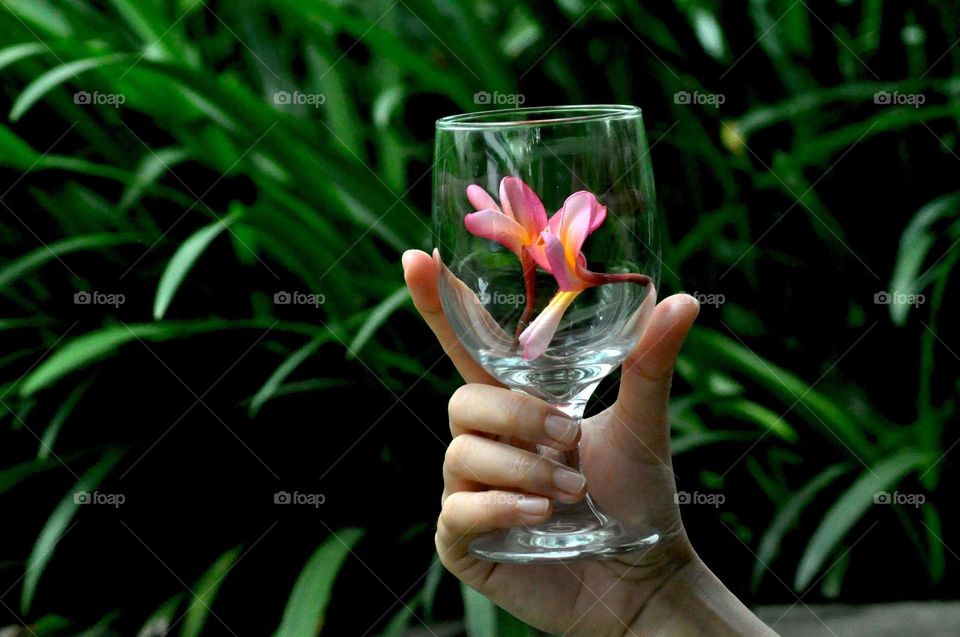 --Glass and flower ....