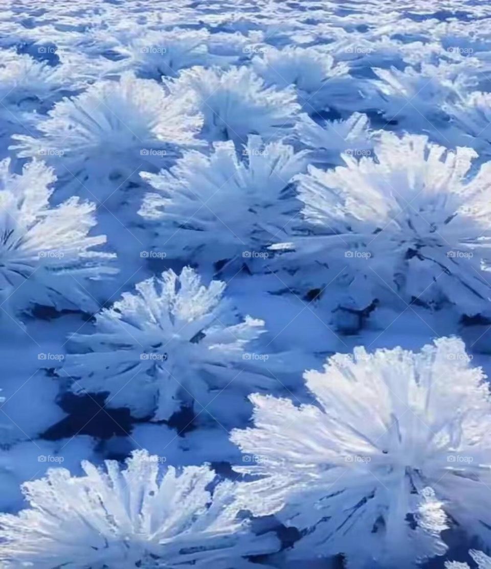 Nature’s icy artistry 