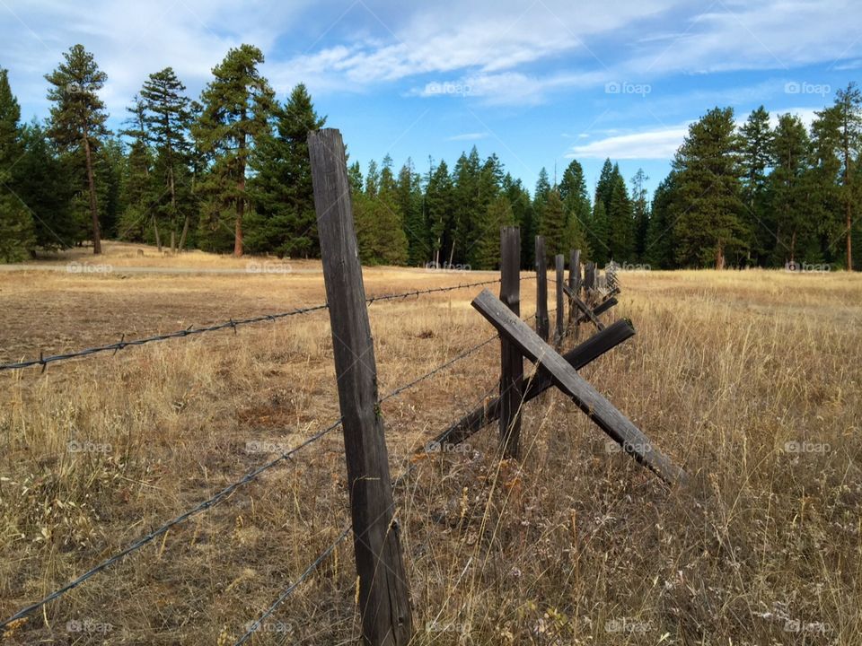 Northwest Oregon . Cattle fence in Northwest Oregon deep in national forest , in late summer . Area is very dry , ban on camping fires on g