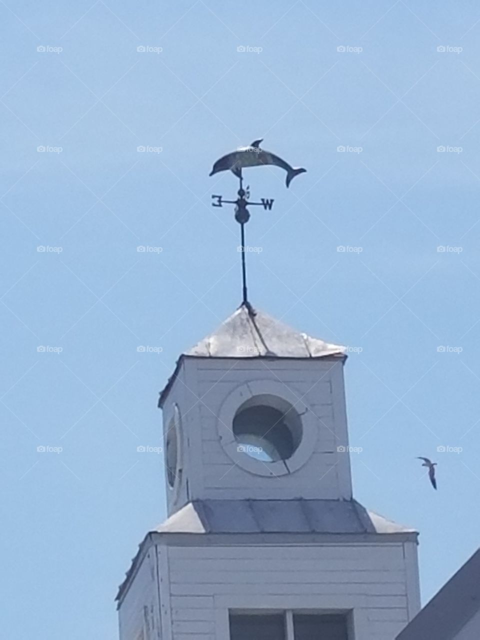 dolphin windvane, Fisherman's Wharf,  Charleston,  SC