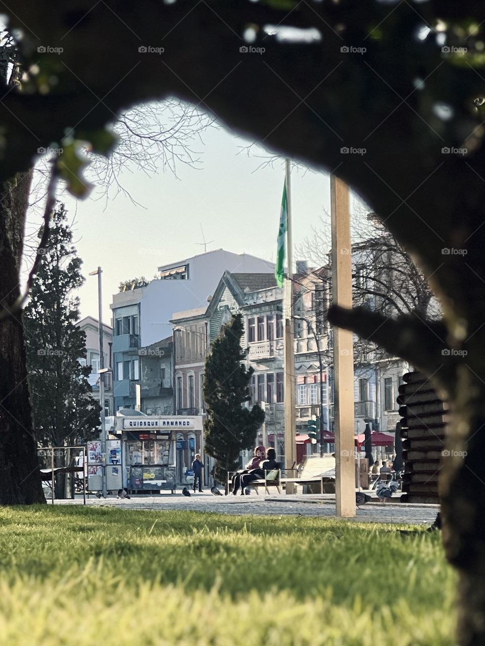 See thruway the tree