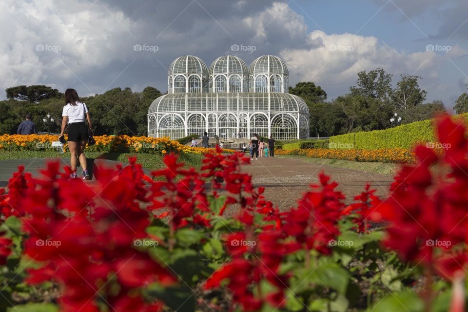 Hello, Brazil! Botanical Garden of Curitiba.