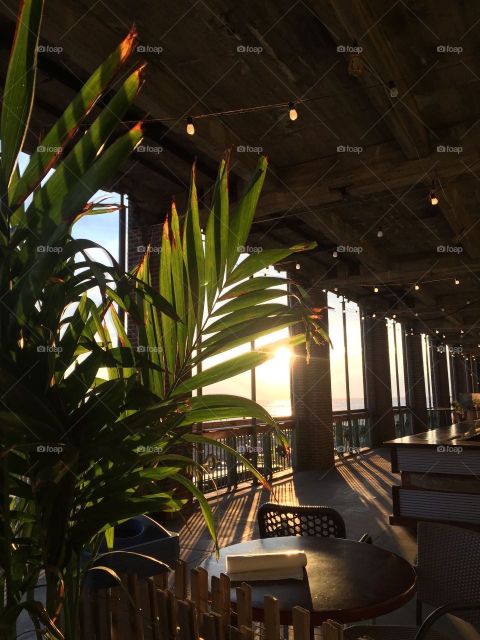 Sunshine through the window 