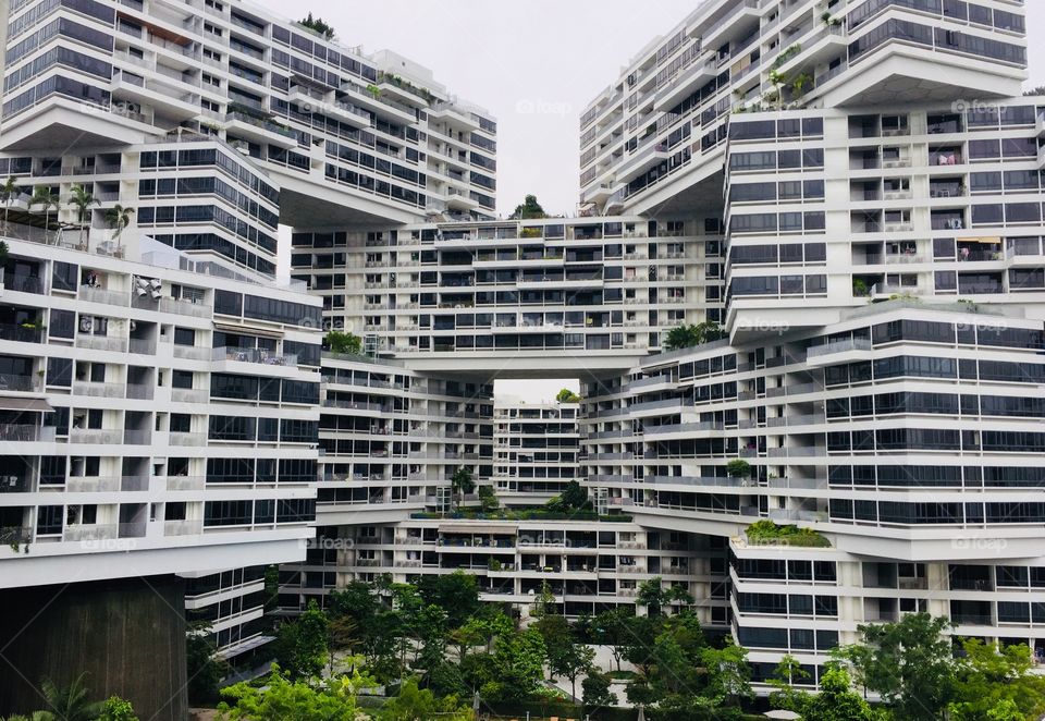 The Interlace