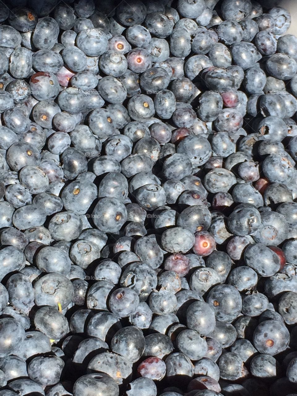 Fresh blueberries