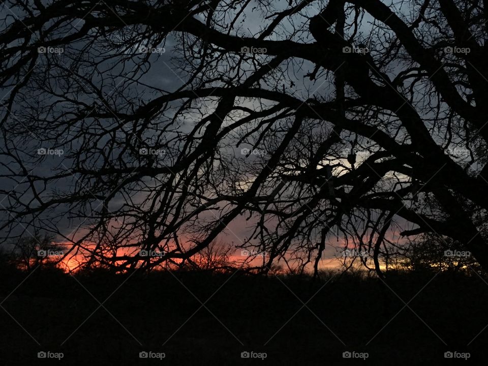 Texas Sunset 